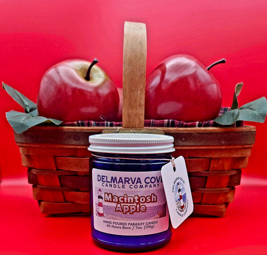 MACINTOSH APPLE