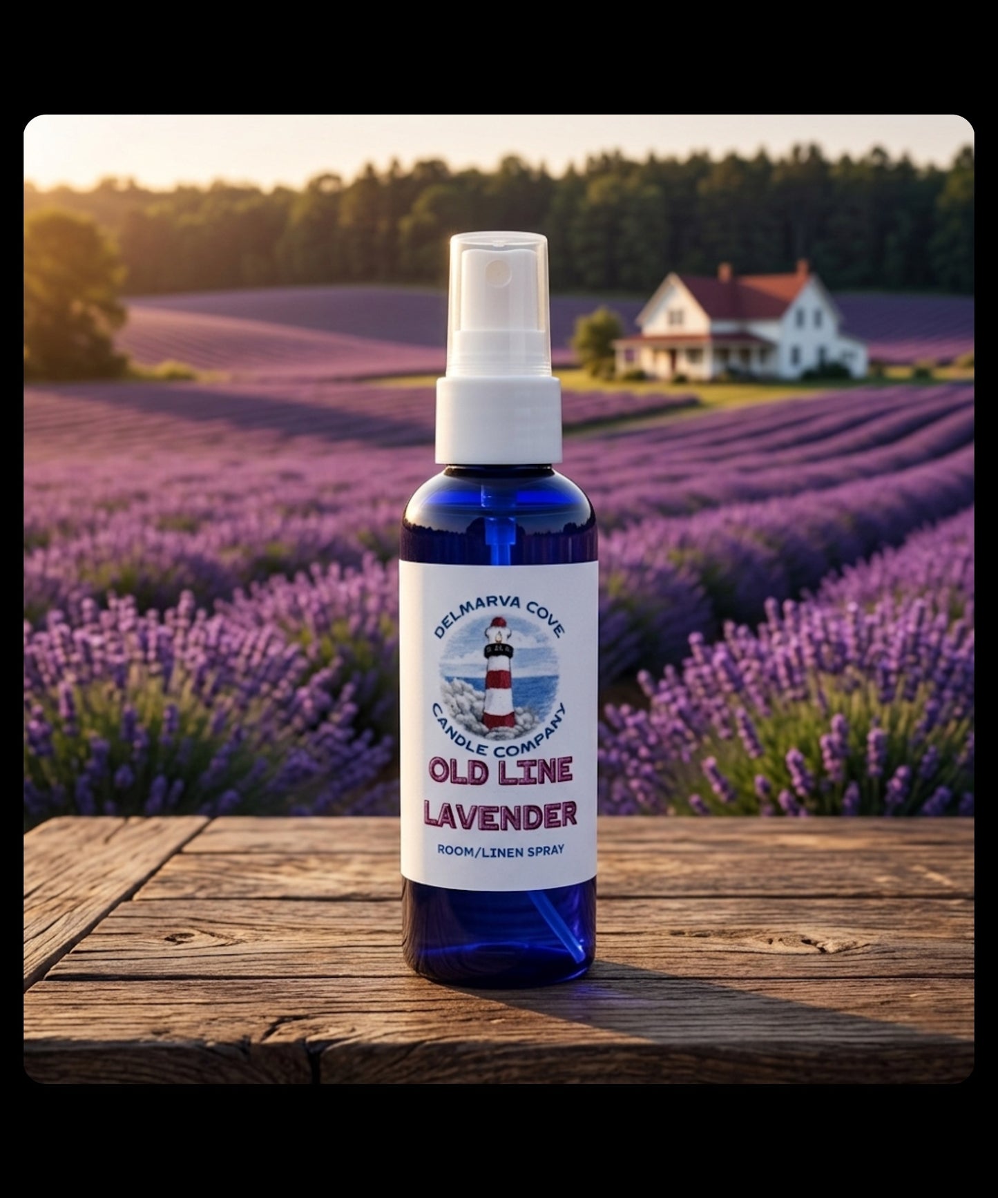 OLD LINE LAVENDER