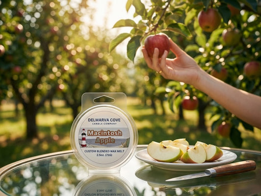 MACINTOSH APPLE